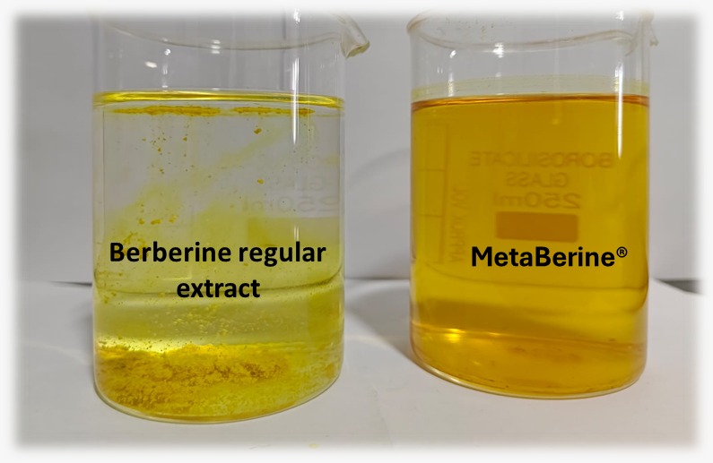 High bioavailability berberine supplement